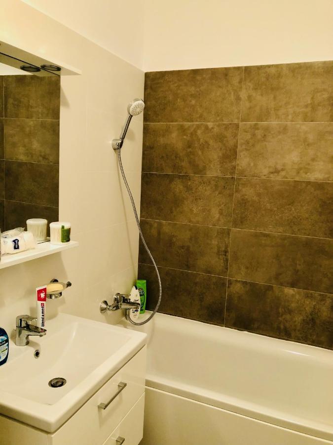 New And Modern Apartment Near Center At Vivalia Grand Тімішоара Екстер'єр фото