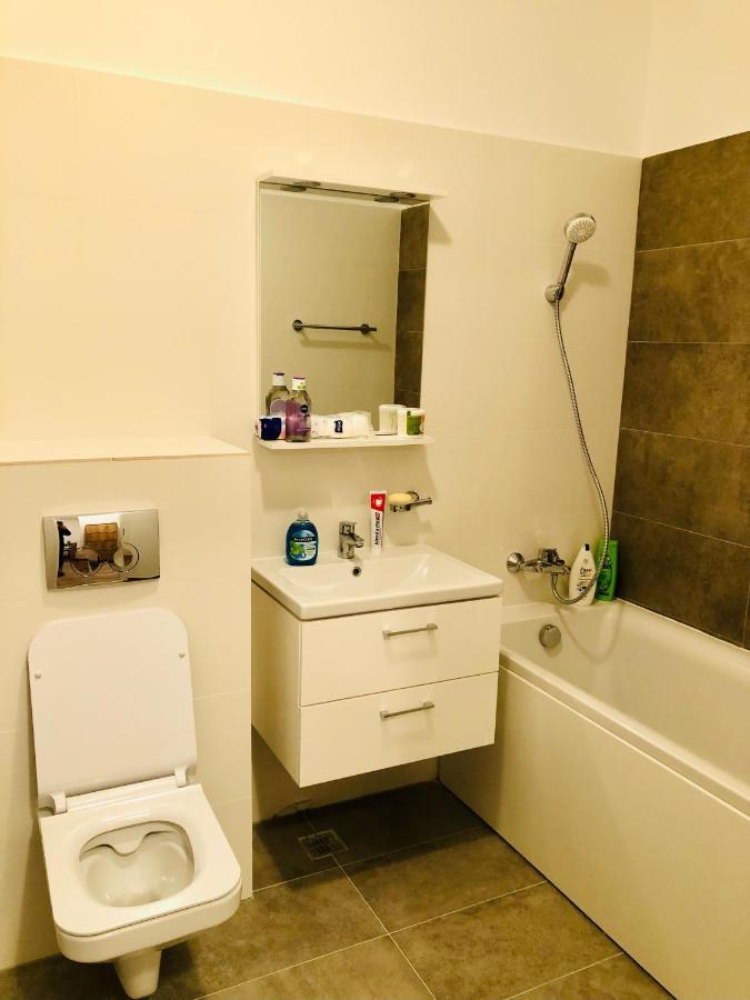 New And Modern Apartment Near Center At Vivalia Grand Тімішоара Екстер'єр фото